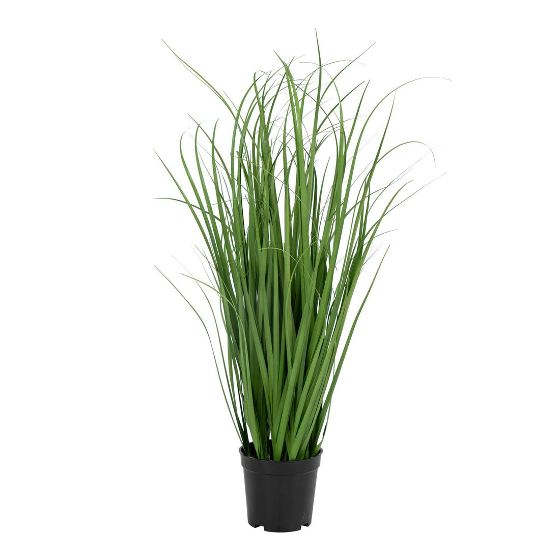 Kunstig Plante, Poa Grass | HemmingsenInteriør